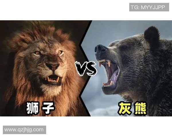 灰熊迎来焦点对决强强碰撞即将开打全场期待巅峰对抗谁能笑到最后 灰熊迎来焦点对决强强碰撞即将开打全场期待巅峰对抗谁能笑到最后